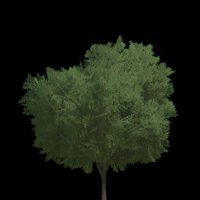 Asset preview